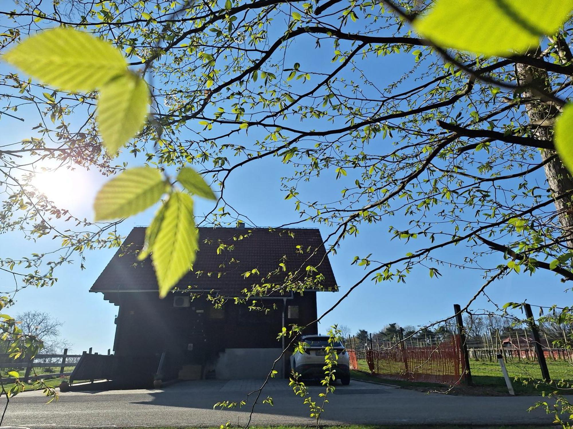 Vila Logarska Koca Fokovci Exteriér fotografie